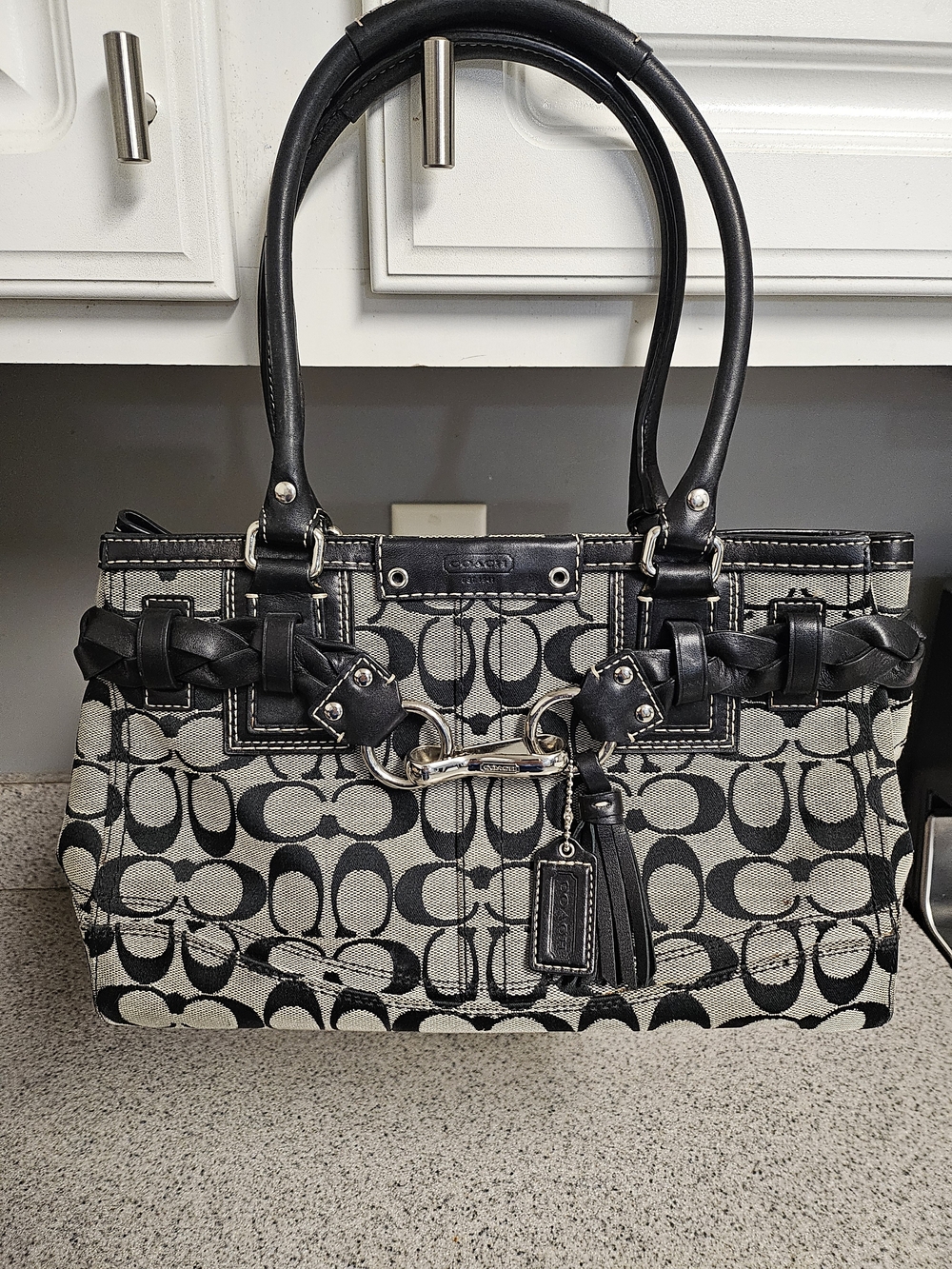 Coach Hampton Signature Handbag Model F13065